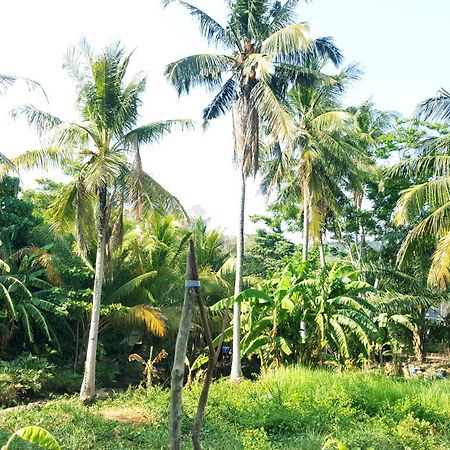 Home No.9 Ko Lanta Kültér fotó